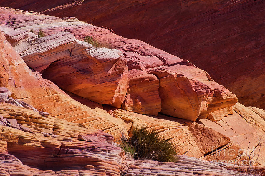 Nevada Rock Colors Photograph by Bob Phillips