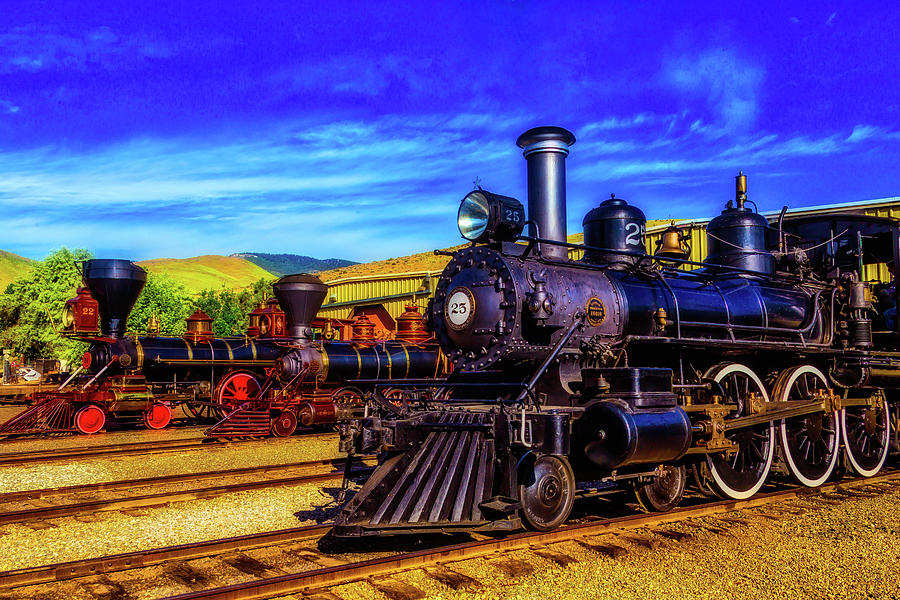 Nevada State Train Museum Photograph by Garry Gay