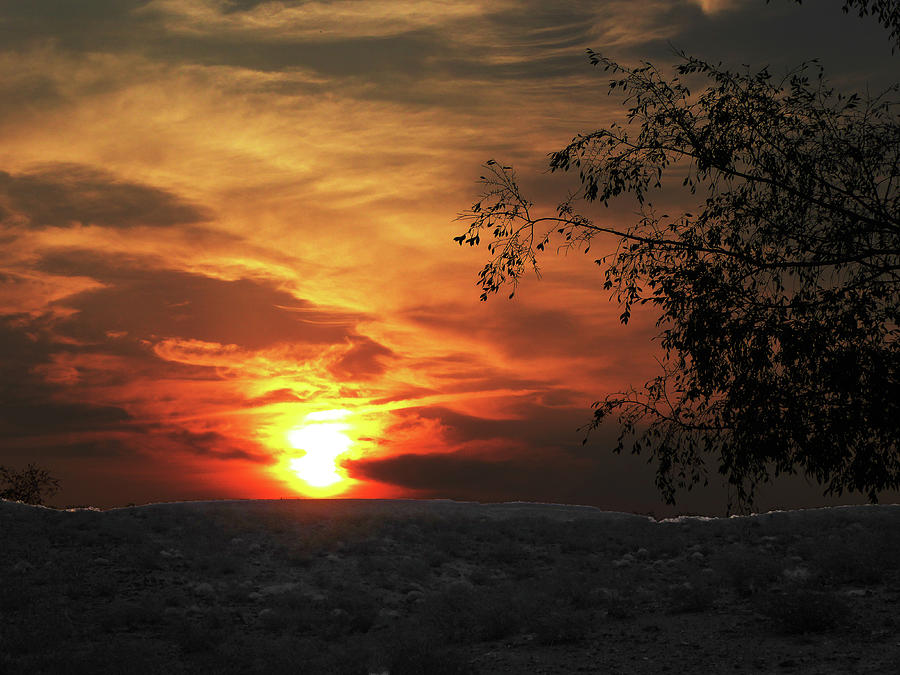 Nevada Sunrise Photograph by Alan Socolik