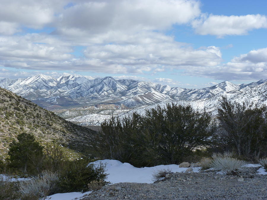 Nevada Winter Photograph by Carl Sheffer