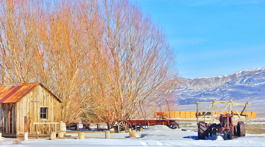 Nevada Winter Photograph by Marilyn Diaz