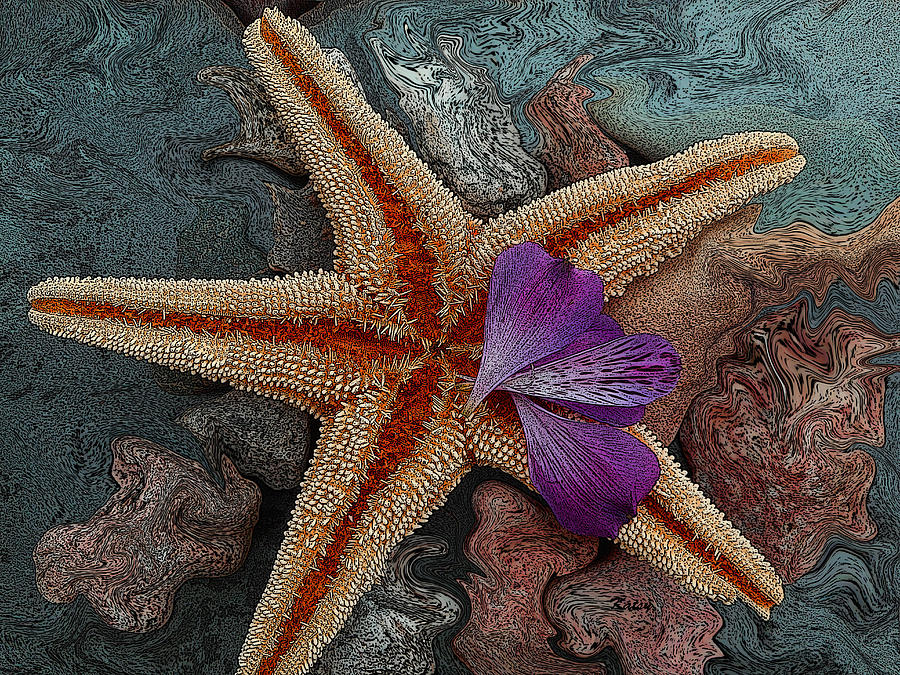 Never Forgotten- Starfish Art Painting by Kathy Symonds