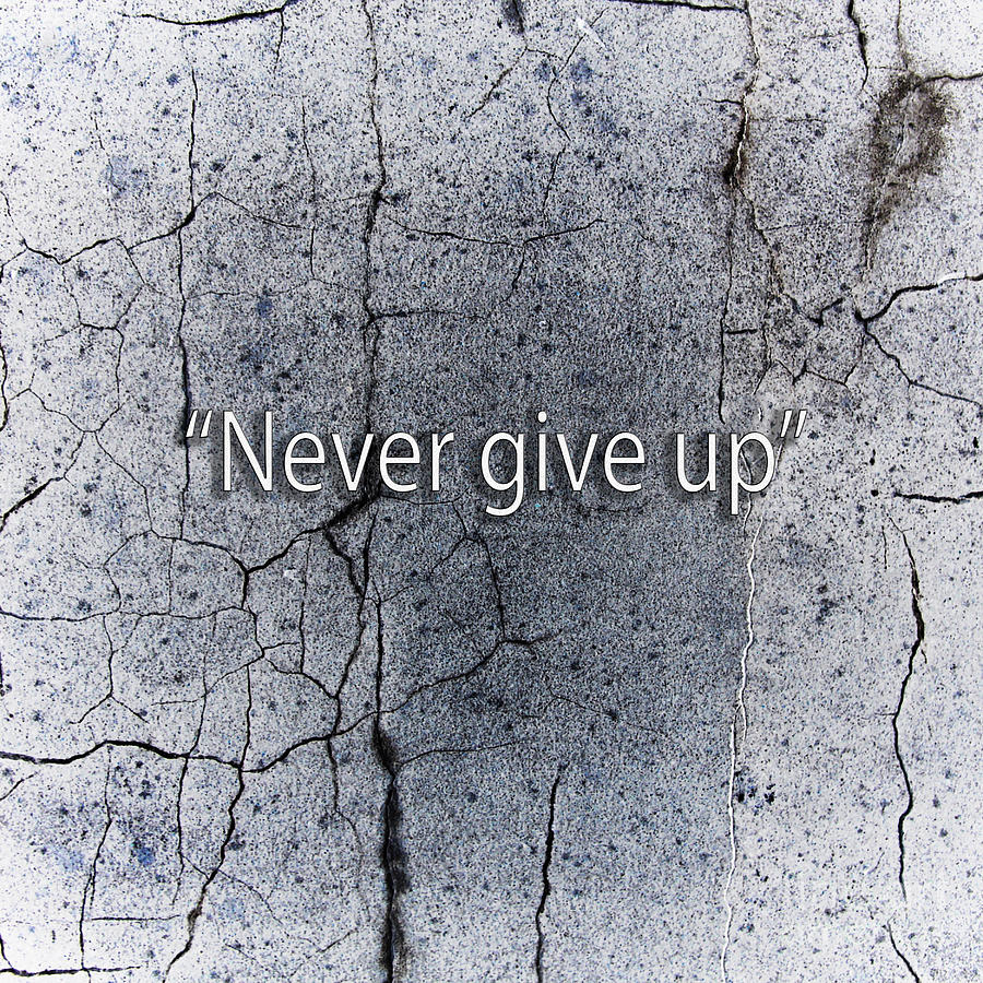 Never give up Photograph by Gunnar Orn Arnason