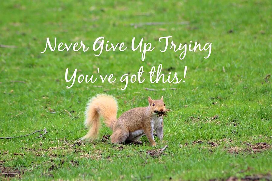 Never Give Up Trying Photograph by Deanna Culver