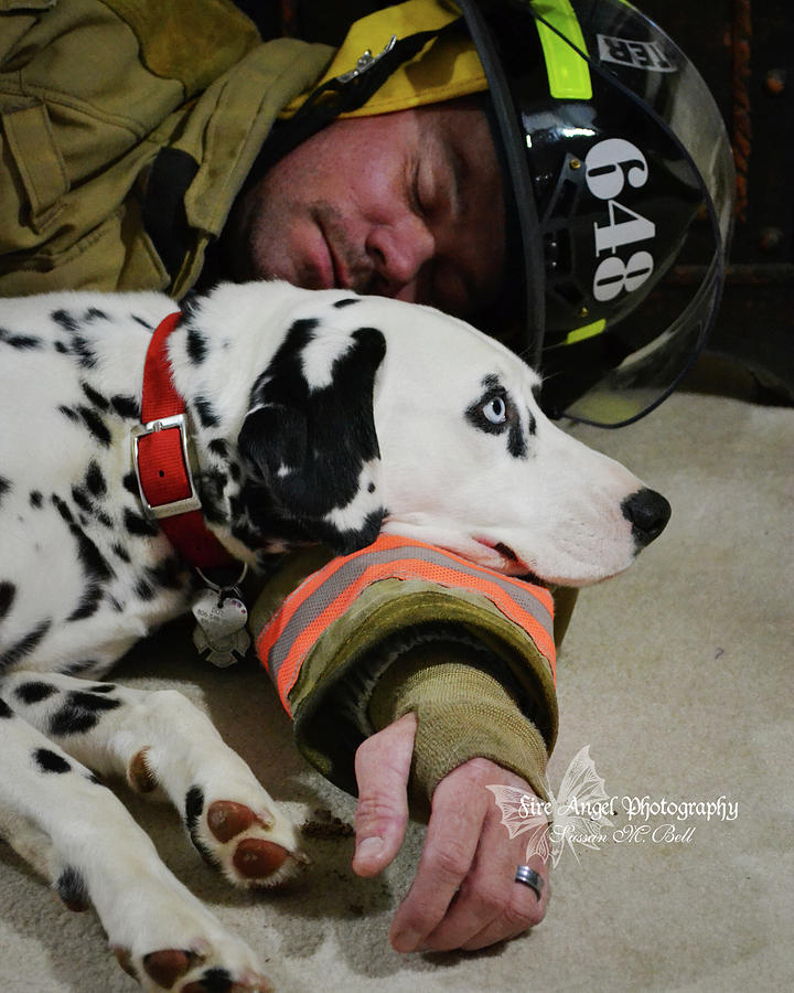 Firefighter Photograph - Never Leave Your Partner by Sussan Bell Firefighter Photograph - Never Leave Your Partner by Sussan Bell