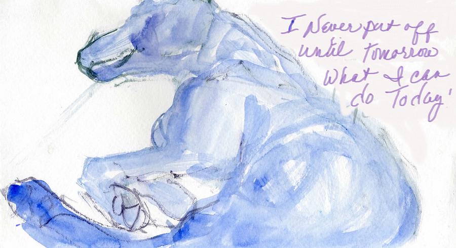 Never Miss A Nap Drawing by Sheila Wedegis