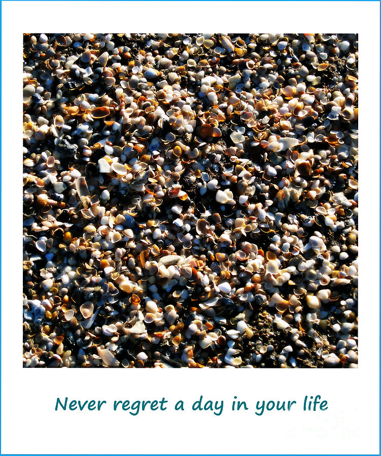 Never Regret A Day Photograph