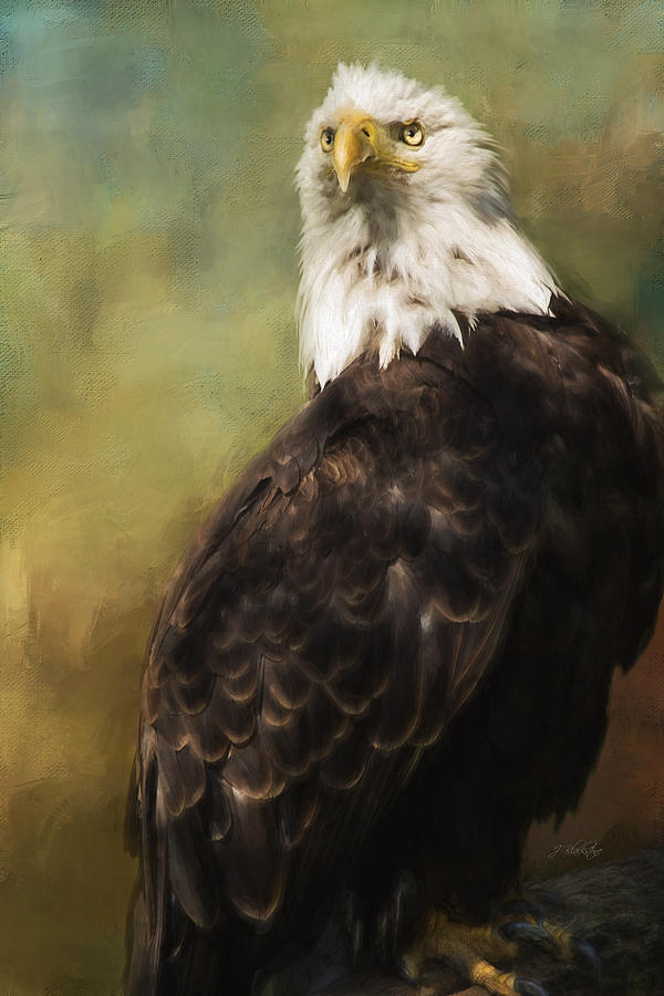 Never Settle - Eagle Art Painting by Jordan Blackstone