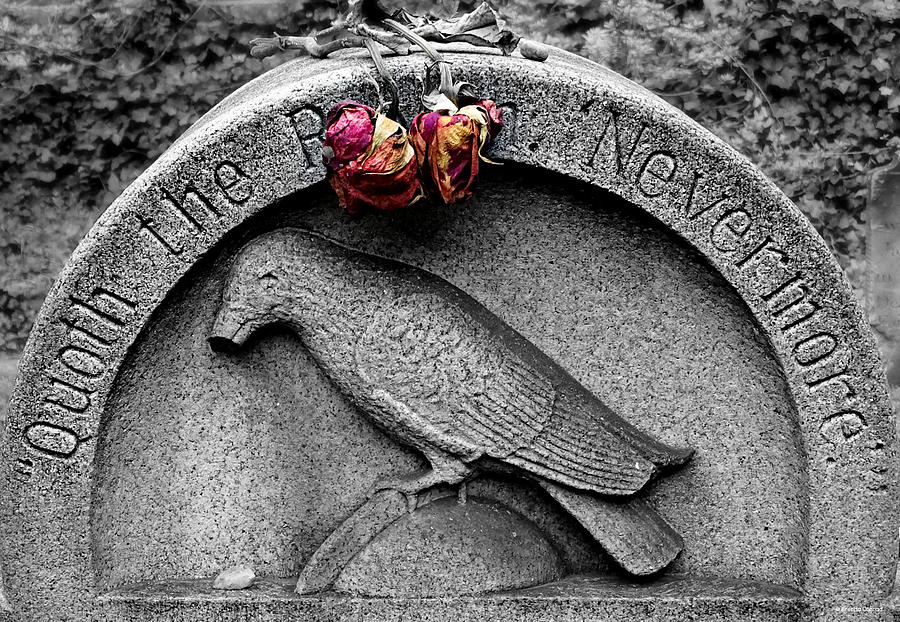 Nevermore Photograph by Dark Whimsy