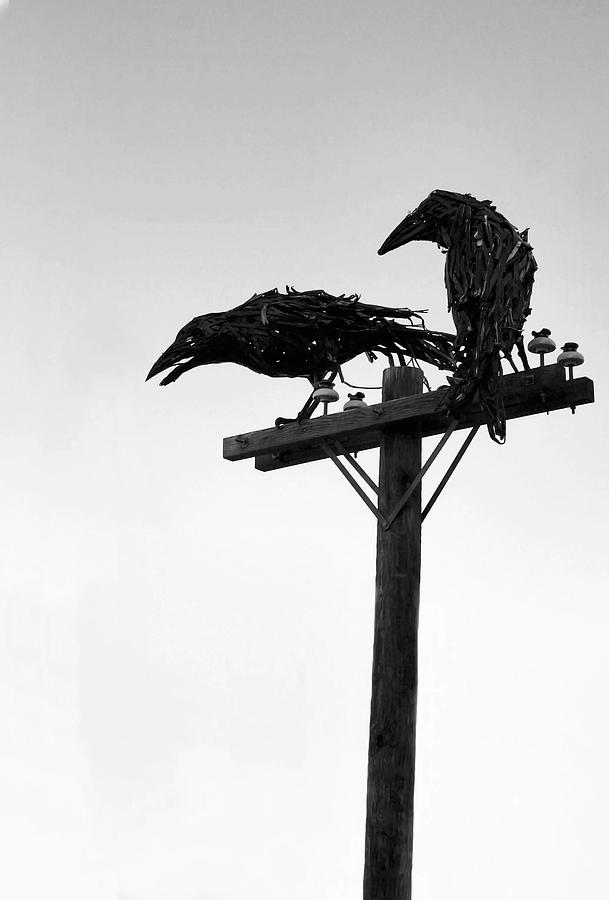 Raven Photograph - Nevermore by Kristin Elmquist