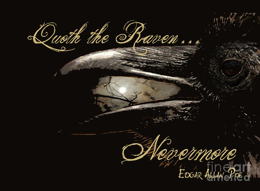 Raven Digital Art - Nevermore by Maureen Tillman