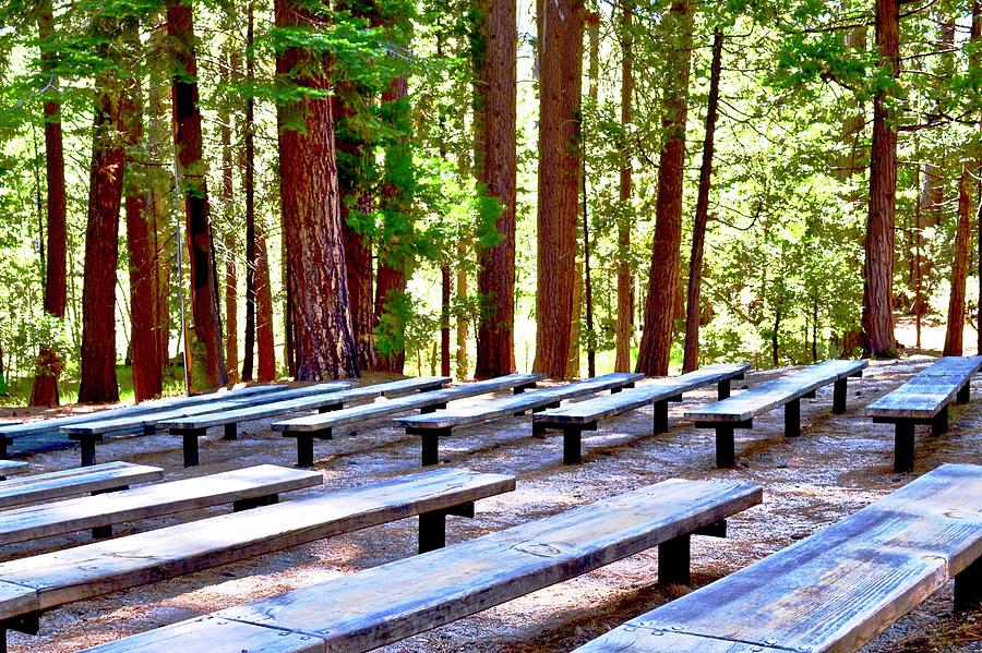 New Amphitheater Benches Photograph by Kirsten Giving