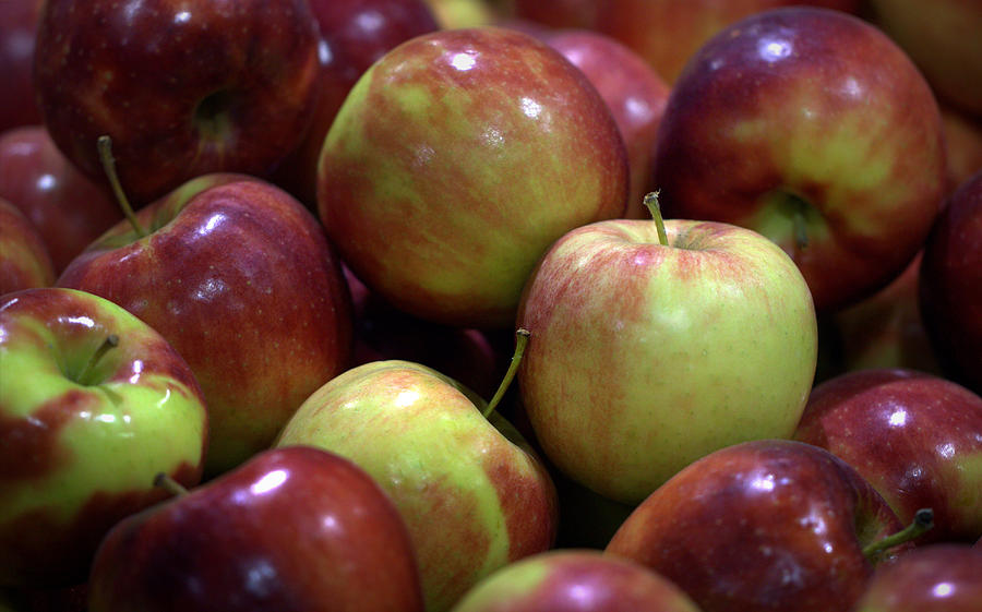 New Apples Photograph by Joseph Skompski