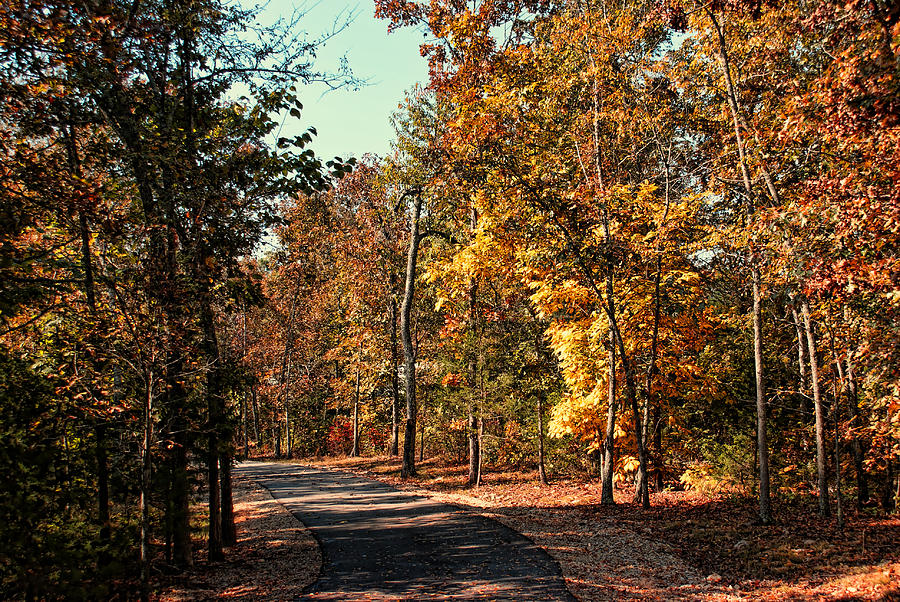 Fall Photograph - New Autumn Trail by Rick Friedle