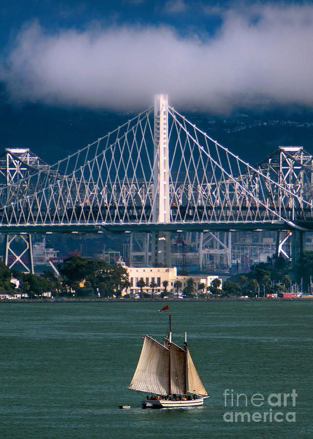 New Bay Bridge, San Francisco Bay Photograph by Wernher Krutein