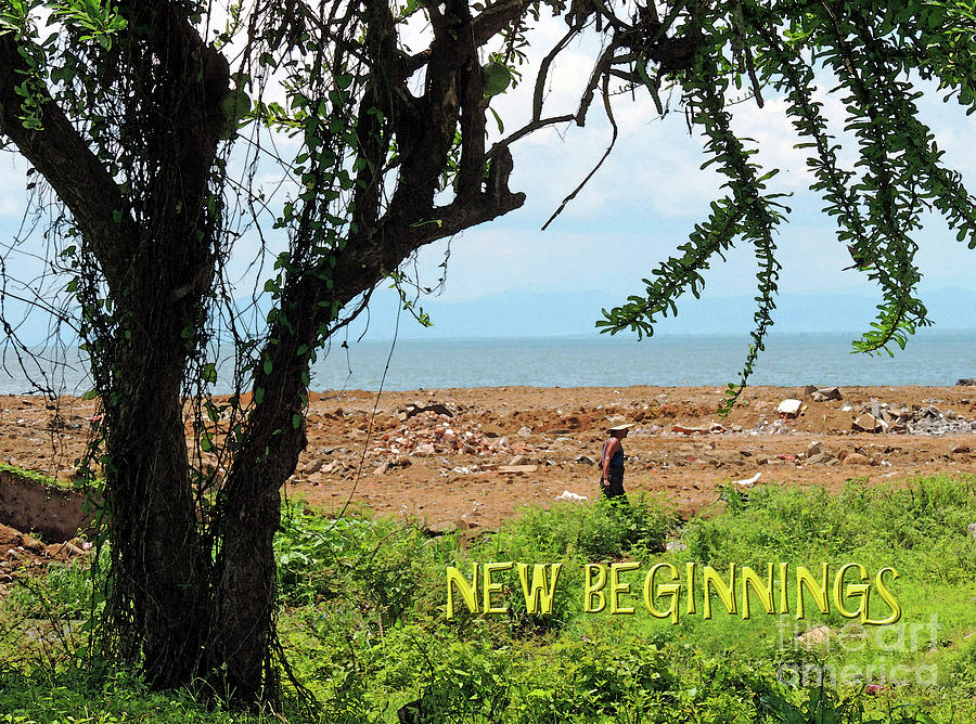 Inspirational Photograph - New Beginnings by Lydia Holly