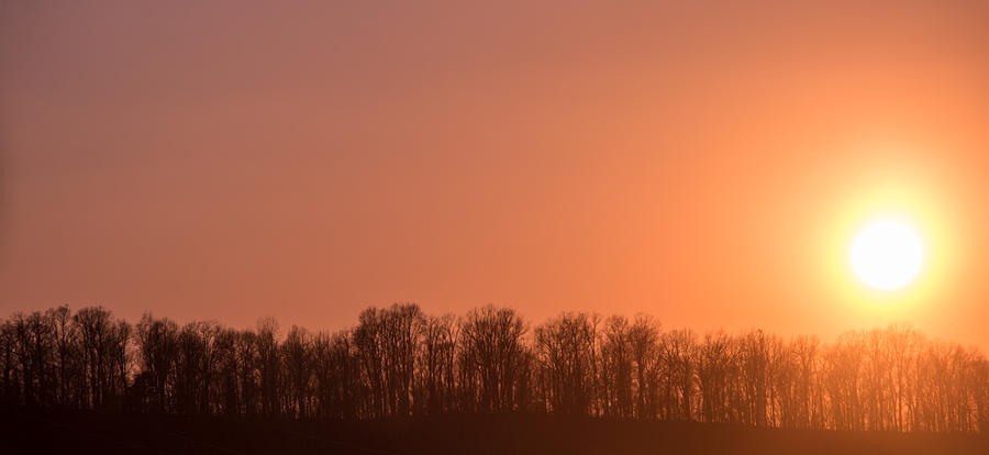 Sunset Photograph - New Beginnings by Parker Cunningham