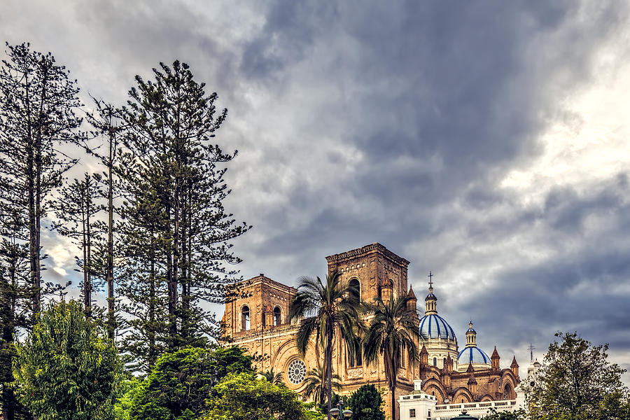 New Catedral Photograph by Maria Coulson