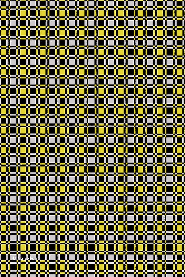 New Checkers  Digital Art by Tom Janca