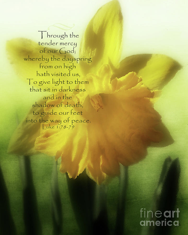 New Daffodil - Verse Digital Art