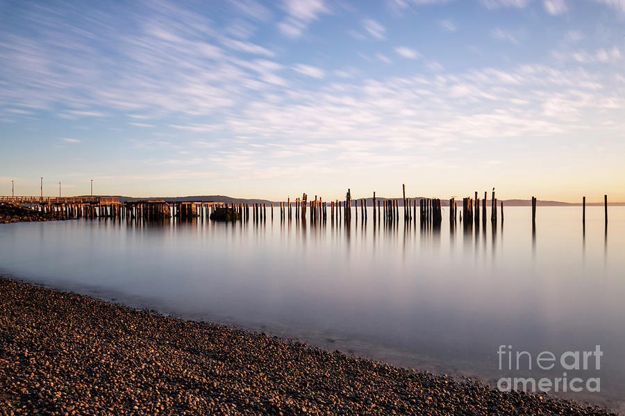 New Day In The Bay by Sal Ahmed New Day In The Bay by Sal Ahmed