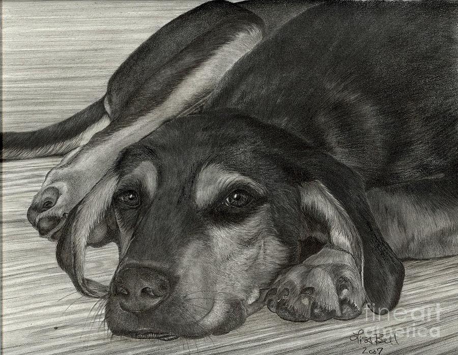 New Dog Old Tricks Drawing by Lisa Bell - Fine Art America