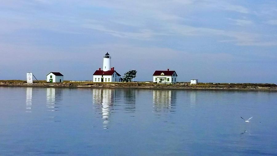 New Dungeness Lighthouse Sequim, WA Photograph by Alexis King-Glandon