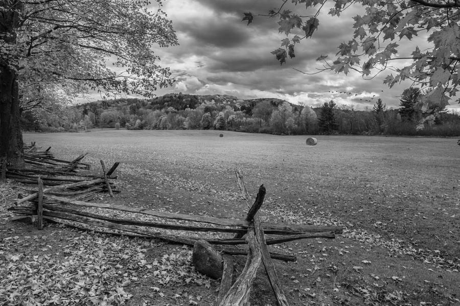 New England Autumn Field bw Photograph by Bill Wakeley