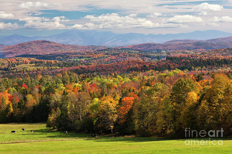 New England Autumn View 2 Photograph by Alan L Graham