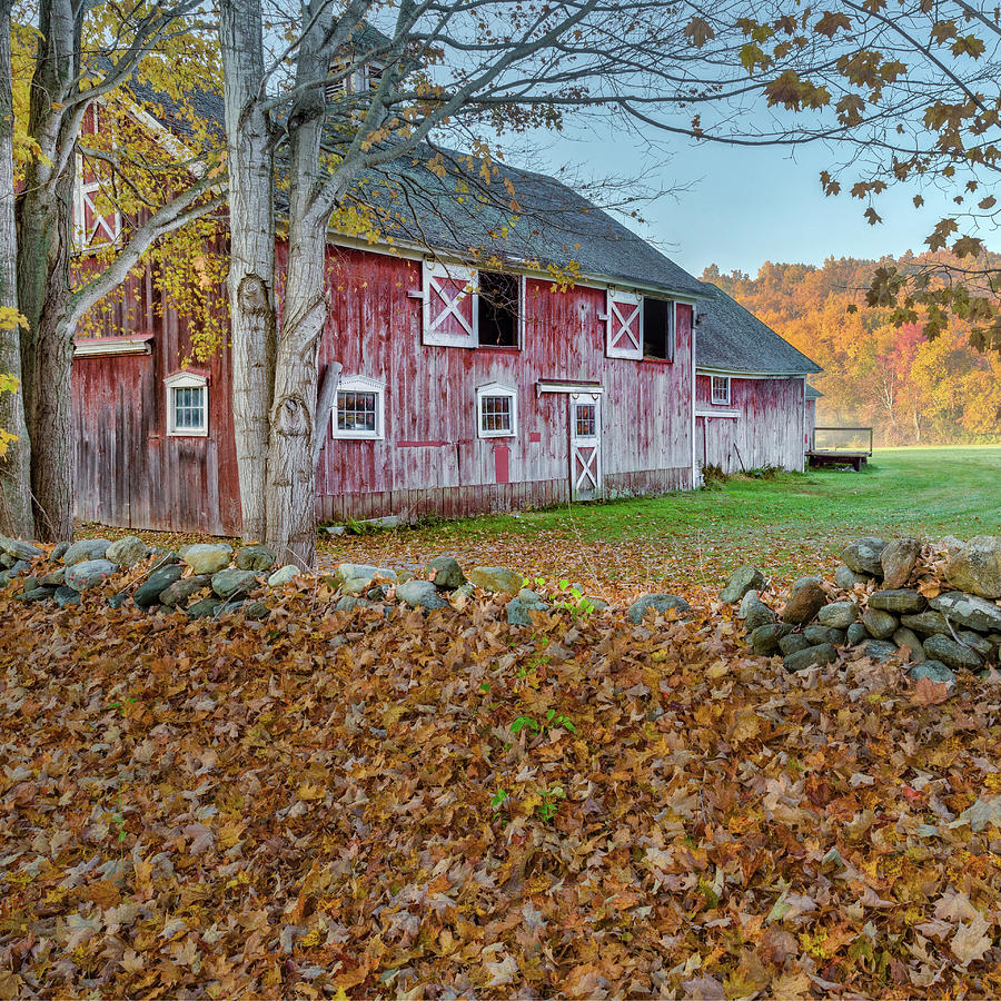 New England Barn 2016 Square Photograph by Bill Wakeley