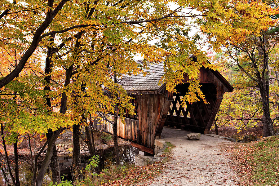 New England College No. 63 Covered Bridge  Photograph by Betty Pauwels