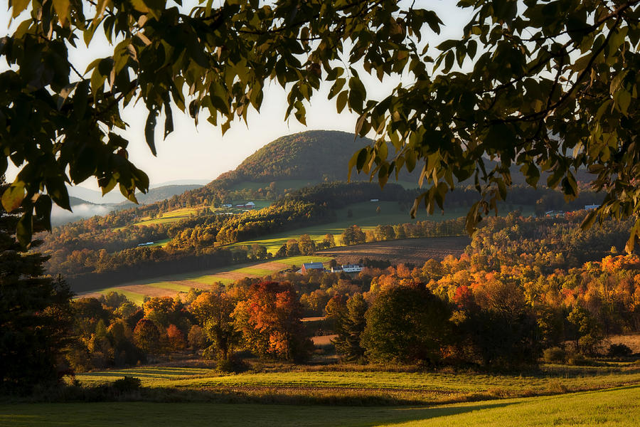 Fall Photograph - New England Fall Foliage - Peacham Vermont by Joann Vitali