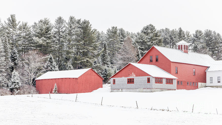 New England Farm with Red Barns in winter Photograph by Edward Fielding