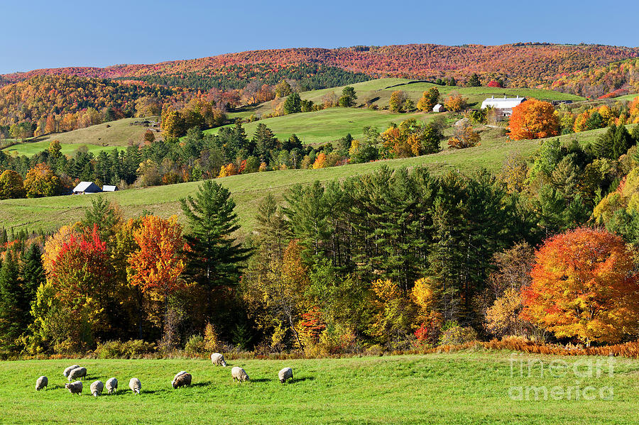 New England Idyllic Autumn Photograph