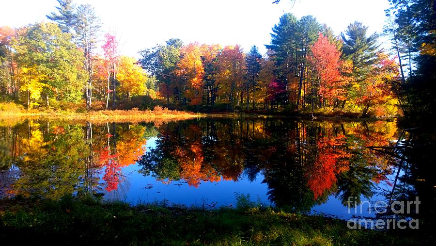 New England in Autumn Photograph by Eunice Miller