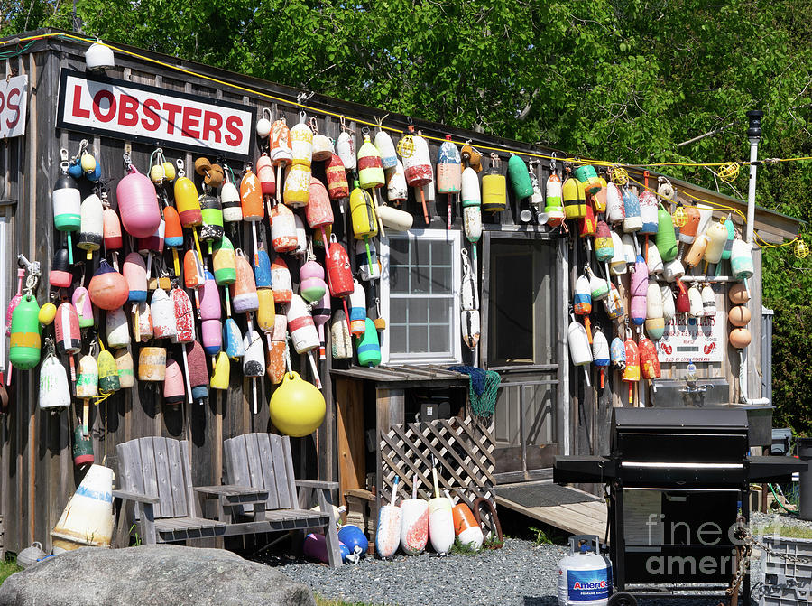 New England Lobster Shack Photograph by Cathy Donohoue