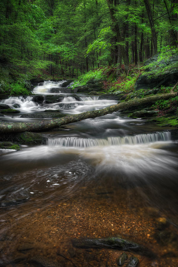 New England Mountain Stream Portrait Photograph by Bill Wakeley