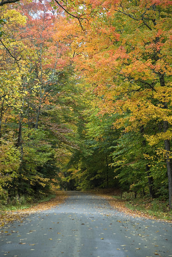 New England Road Photograph by Jessica Wakefield | Fine Art America