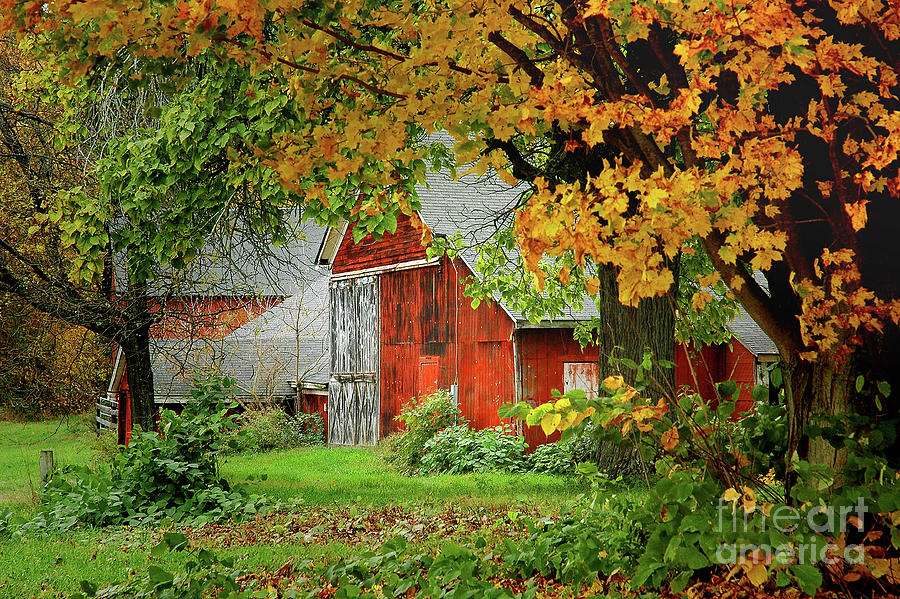 New England Rustic - New England Fall landscape red barn Photograph by Jon Holiday