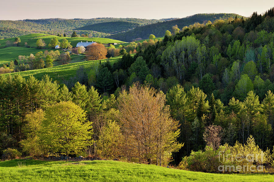 New England Spring Photograph by Alan L Graham