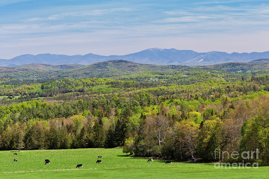 New England Spring View Photograph