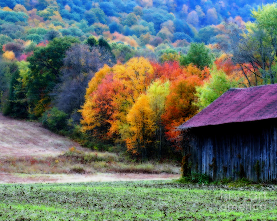 New England Tobacco Barn In Autumn Photograph by Smilin Eyes Treasures
