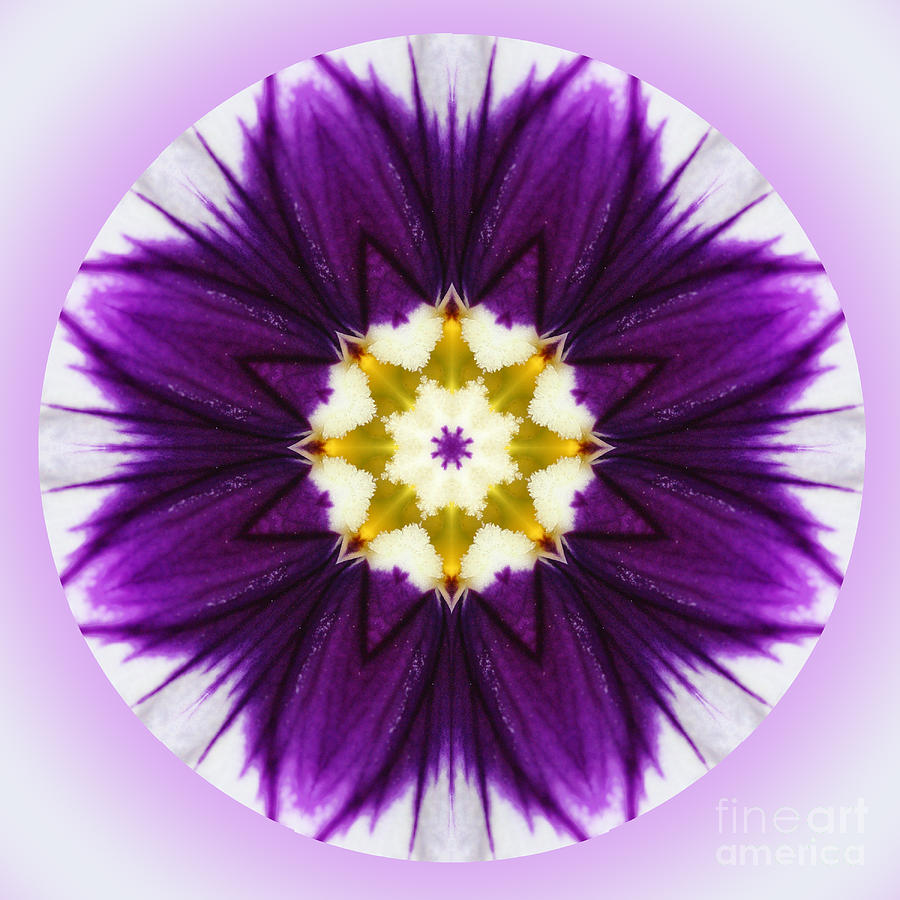 New Flower Digital Art by Kathy Strauss