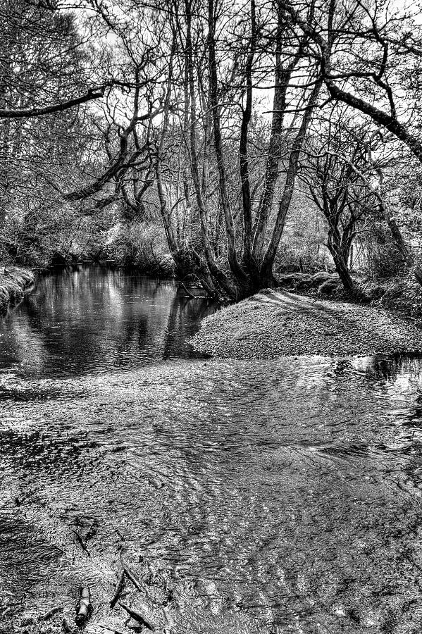 New Forest Ripple Photograph by Hazy Apple