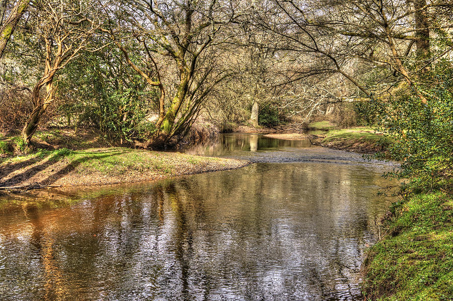 New Forest Waters Photograph by Hazy Apple