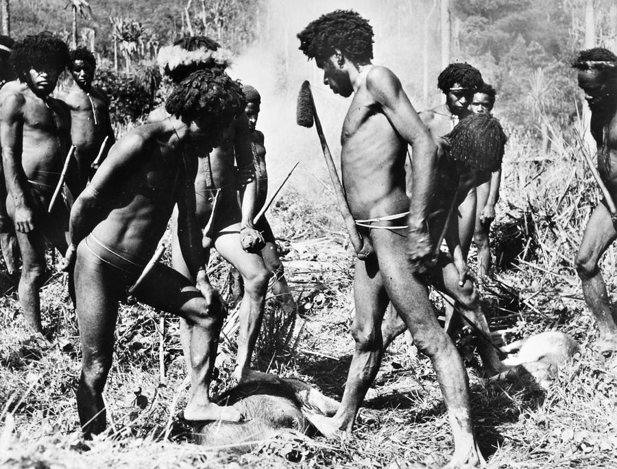 New Guinea, Ndani Men Photograph by Granger
