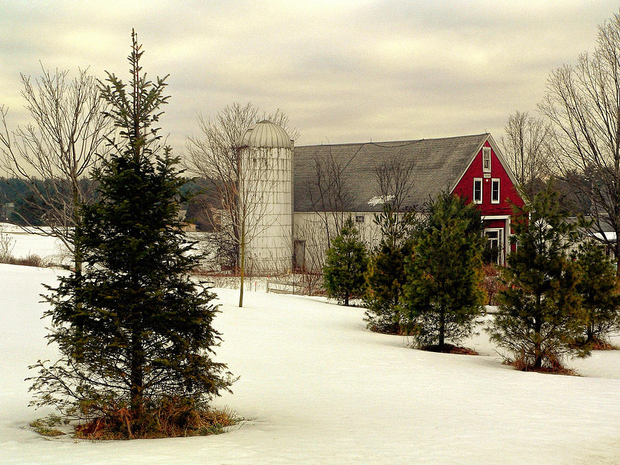 New Hampshire barn Photograph by Janice Drew