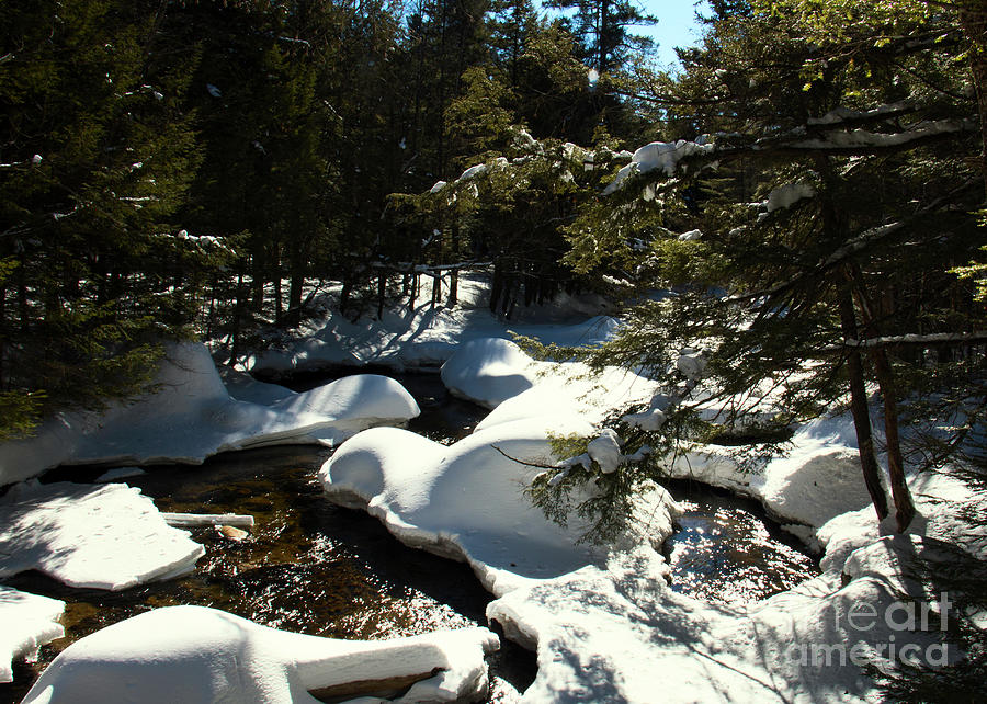 New Hampshire Brook Photograph by Mim White