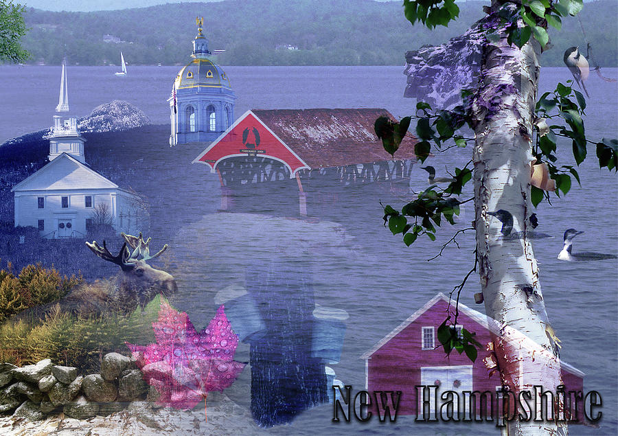 New Hampshire Collage Photograph by Bill Cain