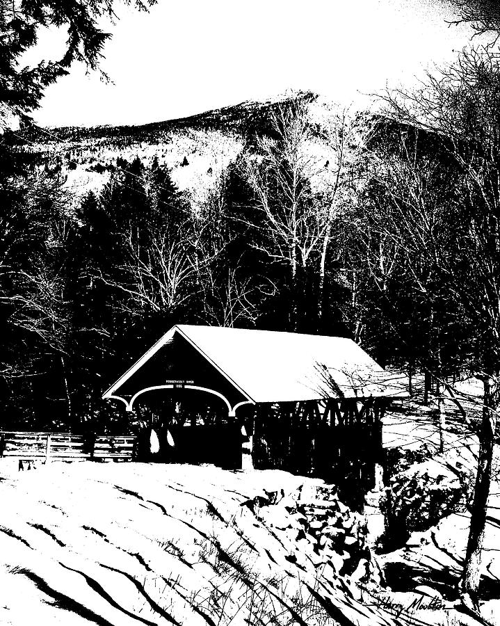 New Hampshire Covered Bridge Photograph by Harry Moulton
